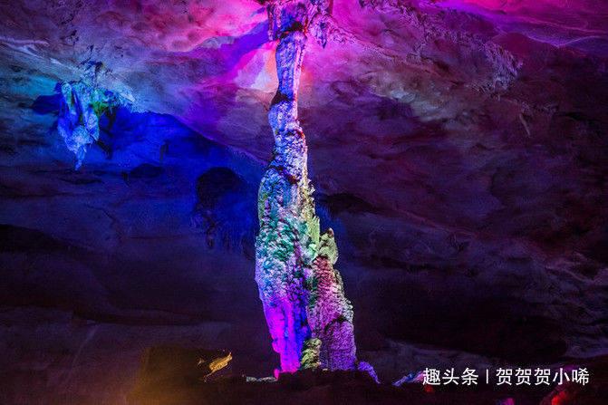 育杨树苗打什么除草剂？游戏画面