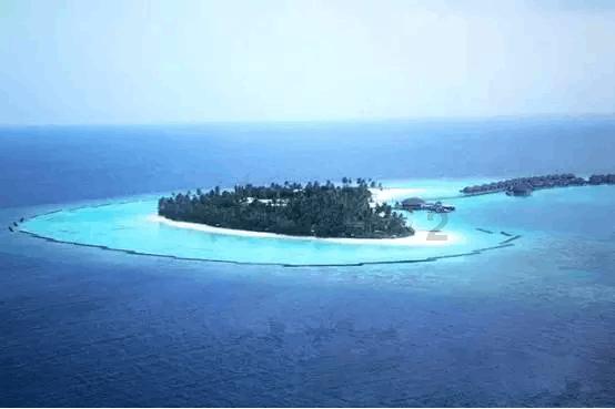 俄外长:美国阻挠联合国为停止加沙地带流血所做的一切努力